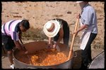 Da de Trashumancia en Los Campos. 2011