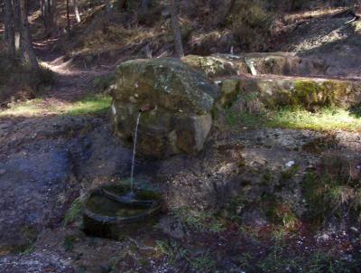 Fuente de San Millán